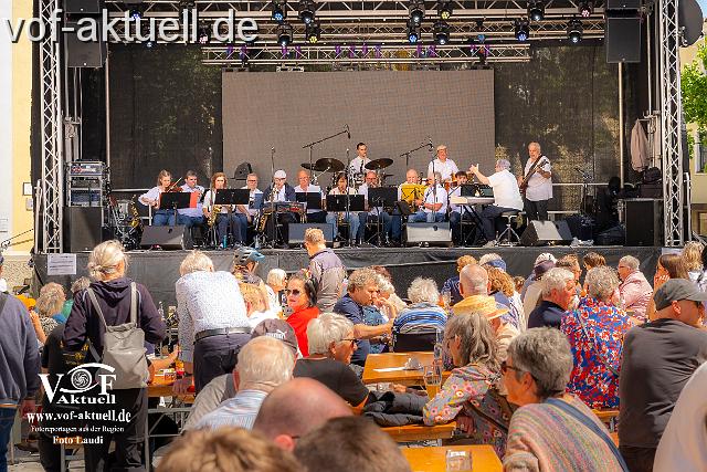 Fotto Laudi_donaujazz-27.jpg